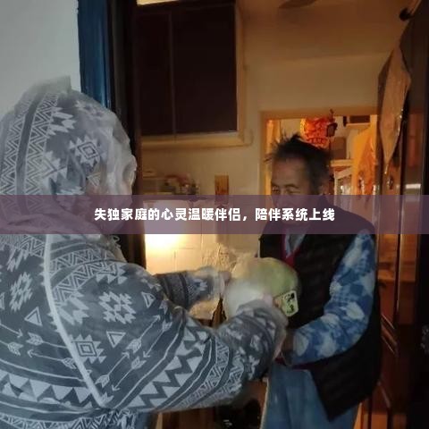 失独家庭的心灵温暖伴侣，陪伴系统上线