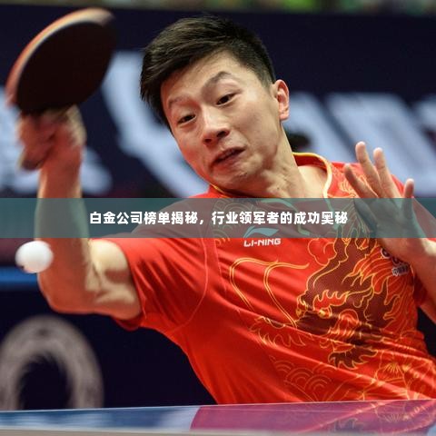 白金公司榜单揭秘,行业领军者的成功奥秘