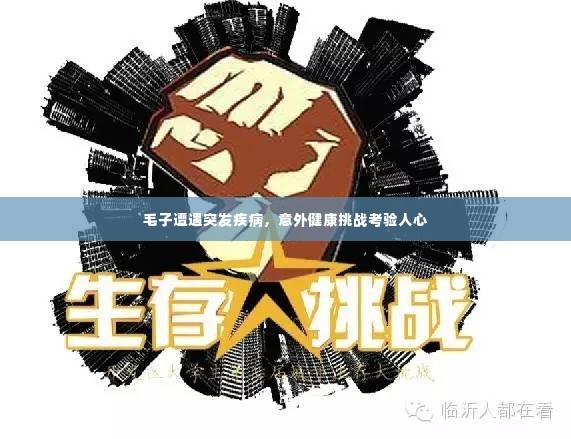 毛子遭遇突发疾病,意外健康挑战考验人心