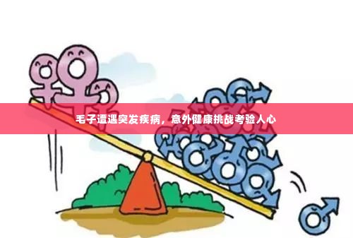 毛子遭遇突发疾病,意外健康挑战考验人心