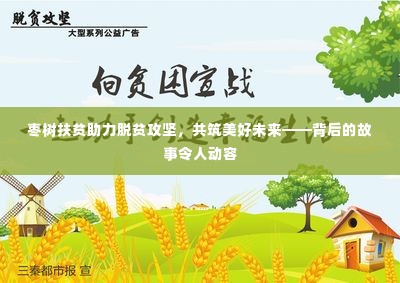 枣树扶贫助力脱贫攻坚，共筑美好未来——背后的故事令人动容