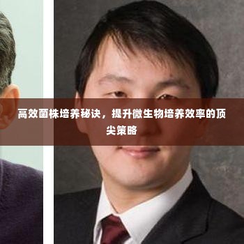 高效菌株培养秘诀,提升微生物培养效率的顶尖策略