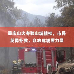 重庆山火考验山城精神，市民英勇扑救，众志成城展力量
