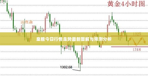 皇粮今日行情走势最新图解与预测分析