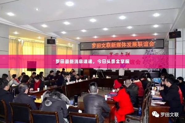 罗田最新消息速递，今日头条全掌握