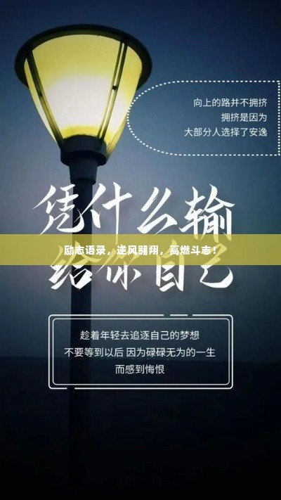 励志语录，逆风翱翔，高燃斗志！