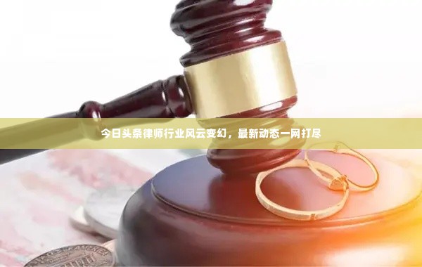 今日头条律师行业风云变幻,最新动态一网打尽