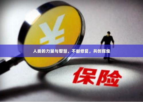 人类的力量与智慧,不断修复,共创辉煌