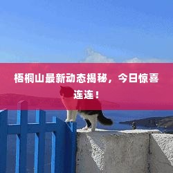 梧桐山最新动态揭秘,今日惊喜连连!