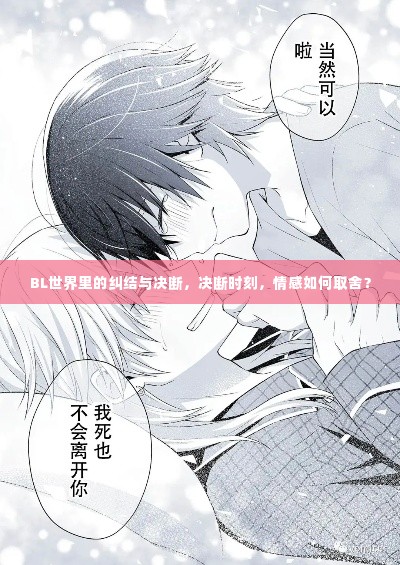 BL世界里的纠结与决断,决断时刻,情感如何取舍?