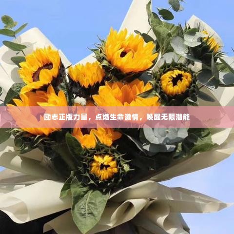 励志正版力量,点燃生命激情,唤醒无限潜能