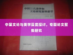 中国文论与美学深度探讨,专题论文聚焦研究