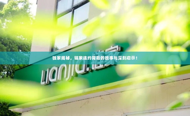 独家揭秘,链家违约背后的故事与深刻启示!