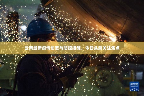 云南最新疫情动态与防控措施,今日头条关注焦点