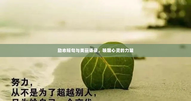 励志短句与美丽语录,唤醒心灵的力量