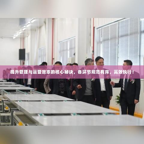 提升管理与运营效率的核心秘诀,各环节规范有序,高效执行!