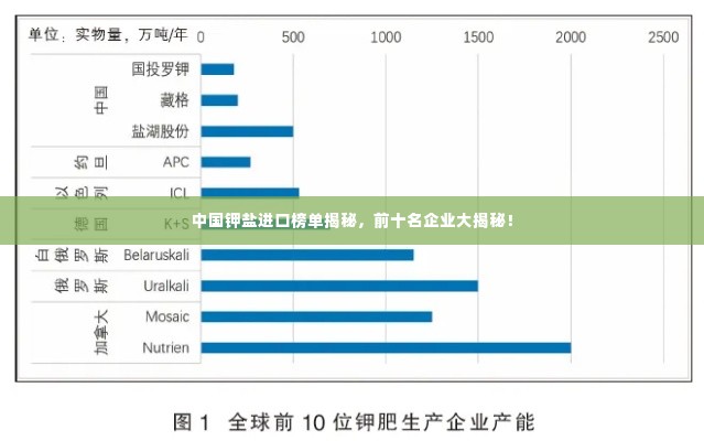 中国钾盐进口榜单揭秘,前十名企业大揭秘!