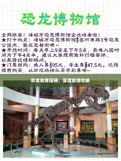 恐龙故里探秘,深度旅游攻略