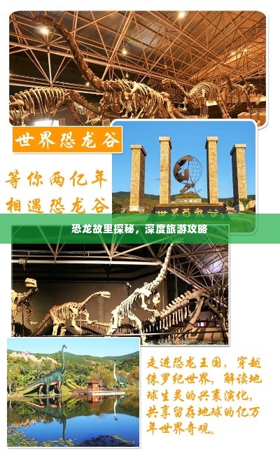 恐龙故里探秘,深度旅游攻略