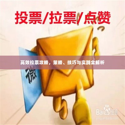 高效拉票攻略,策略、技巧与实践全解析