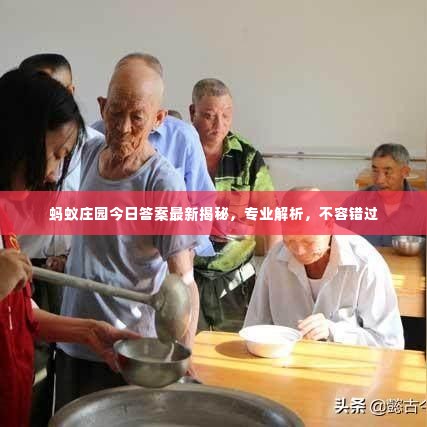 还朴反古 第2页