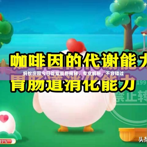 蚂蚁庄园今日答案最新揭秘,专业解析,不容错过