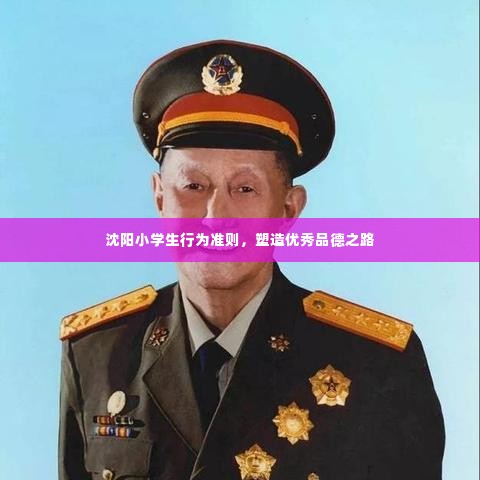 沈阳小学生行为准则，塑造优秀品德之路