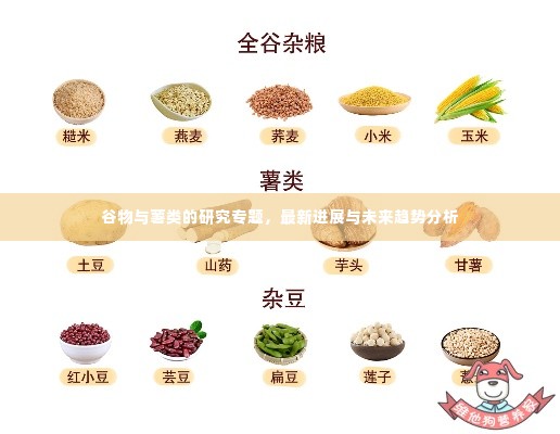 谷物与薯类的研究专题，最新进展与未来趋势分析