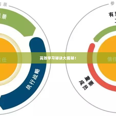 高效学习秘诀大揭秘!