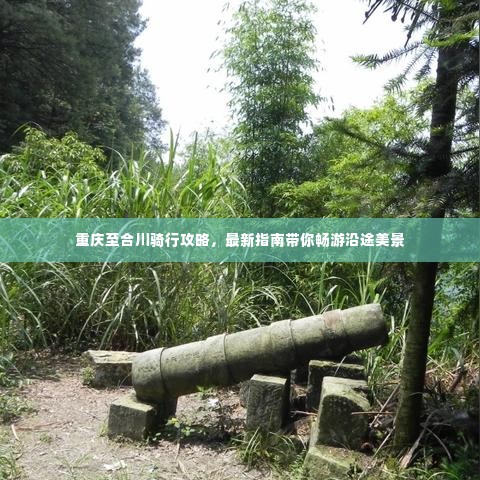 重庆至合川骑行攻略,最新指南带你畅游沿途美景