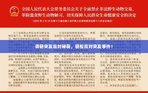 调研突发应对秘籍,轻松应对突发事件!