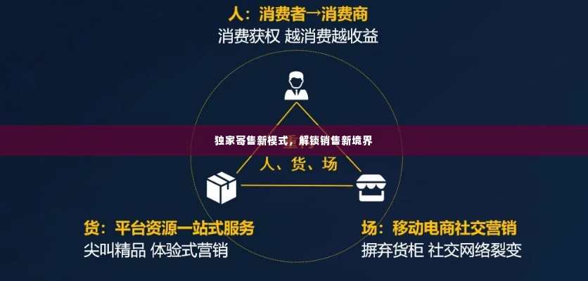 独家寄售新模式,解锁销售新境界