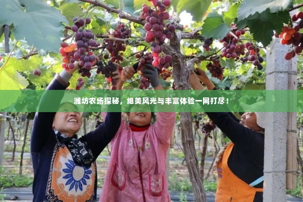 潍坊农场探秘,绝美风光与丰富体验一网打尽!