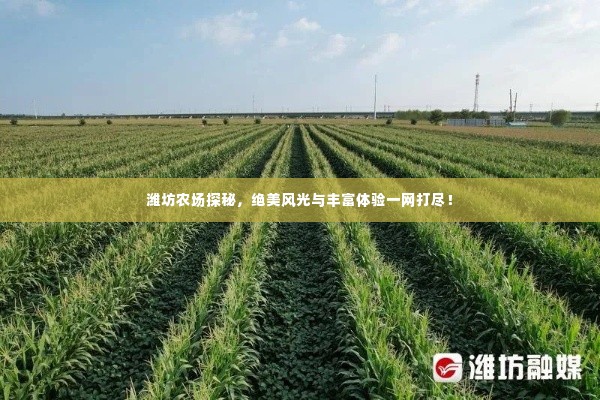潍坊农场探秘,绝美风光与丰富体验一网打尽!