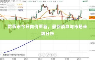 黔西市今日肉价更新，最新消息与市场走势分析
