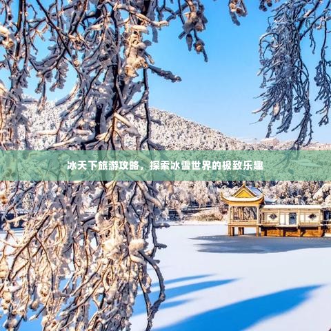 冰天下旅游攻略,探索冰雪世界的极致乐趣
