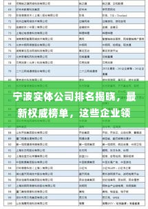 宁波实体公司排名揭晓，最新权威榜单，这些企业领跑行业！