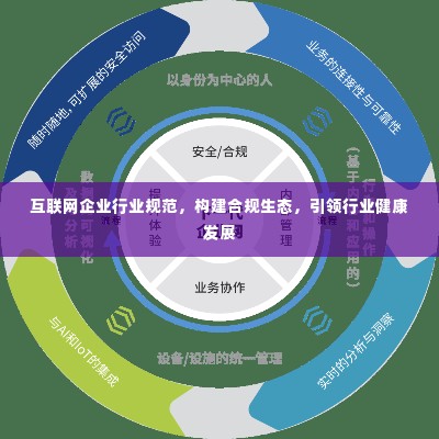 互联网企业行业规范,构建合规生态,引领行业健康发展
