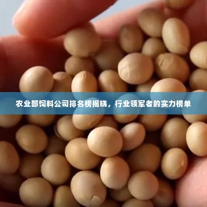 农业部饲料公司排名榜揭晓,行业领军者的实力榜单