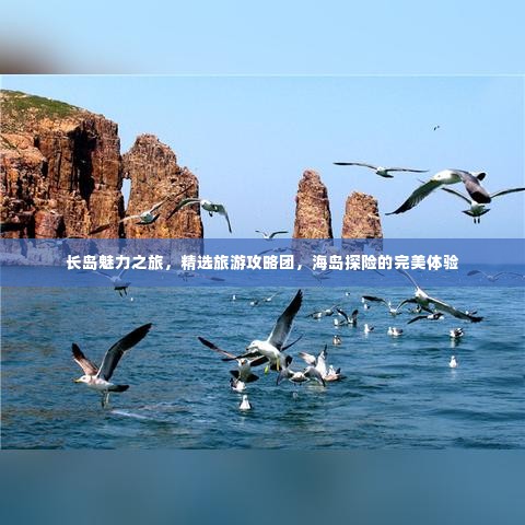 长岛魅力之旅,精选旅游攻略团,海岛探险的完美体验