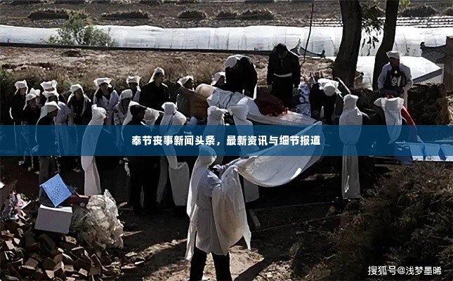 火伞高张 第2页