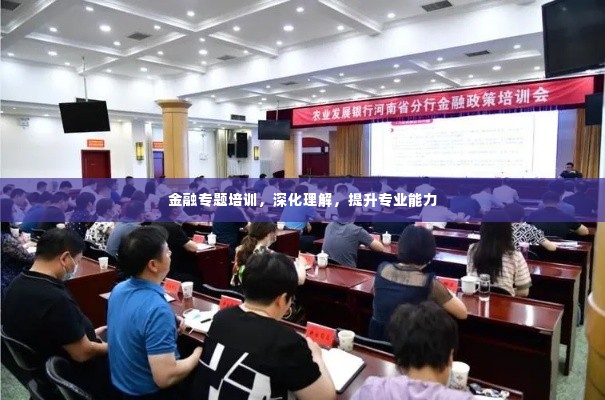 金融专题培训,深化理解,提升专业能力