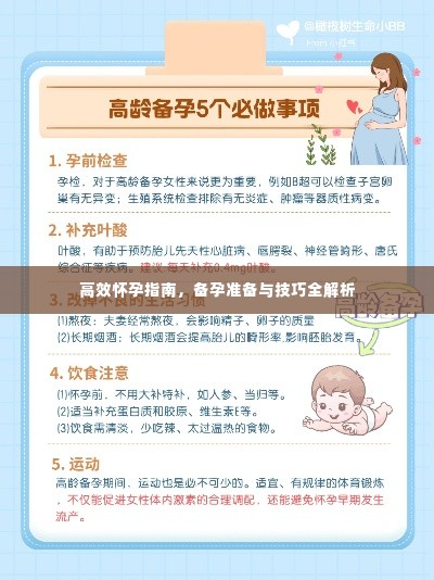 高效怀孕指南，备孕准备与技巧全解析
