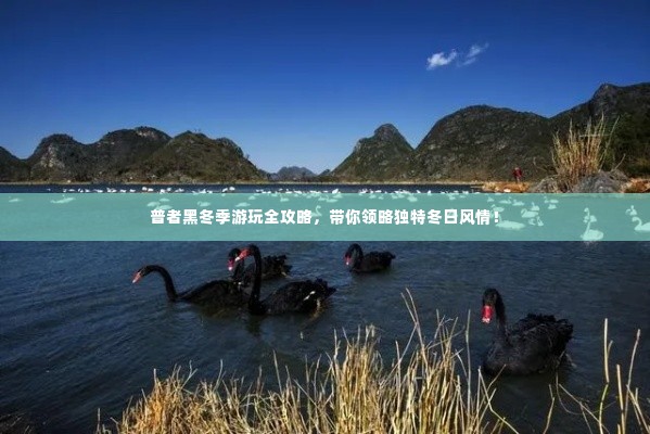 普者黑冬季游玩全攻略,带你领略独特冬日风情!