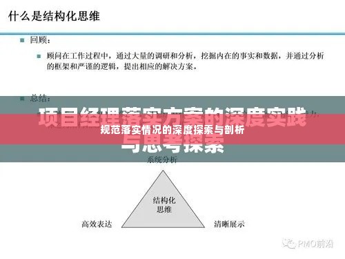 规范落实情况的深度探索与剖析
