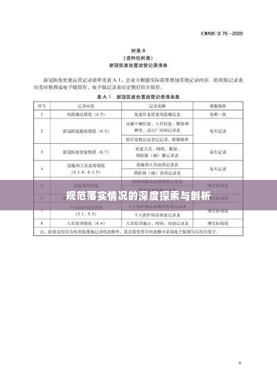 规范落实情况的深度探索与剖析
