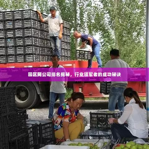 园区网公司排名揭秘,行业领军者的成功秘诀