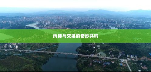 肉棒与交换的奇妙共鸣