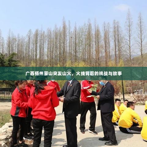 广西梧州蒙山突发山火，火线背后的挑战与故事