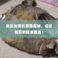 突发抽搐的原因揭秘,症状背后的健康隐患!